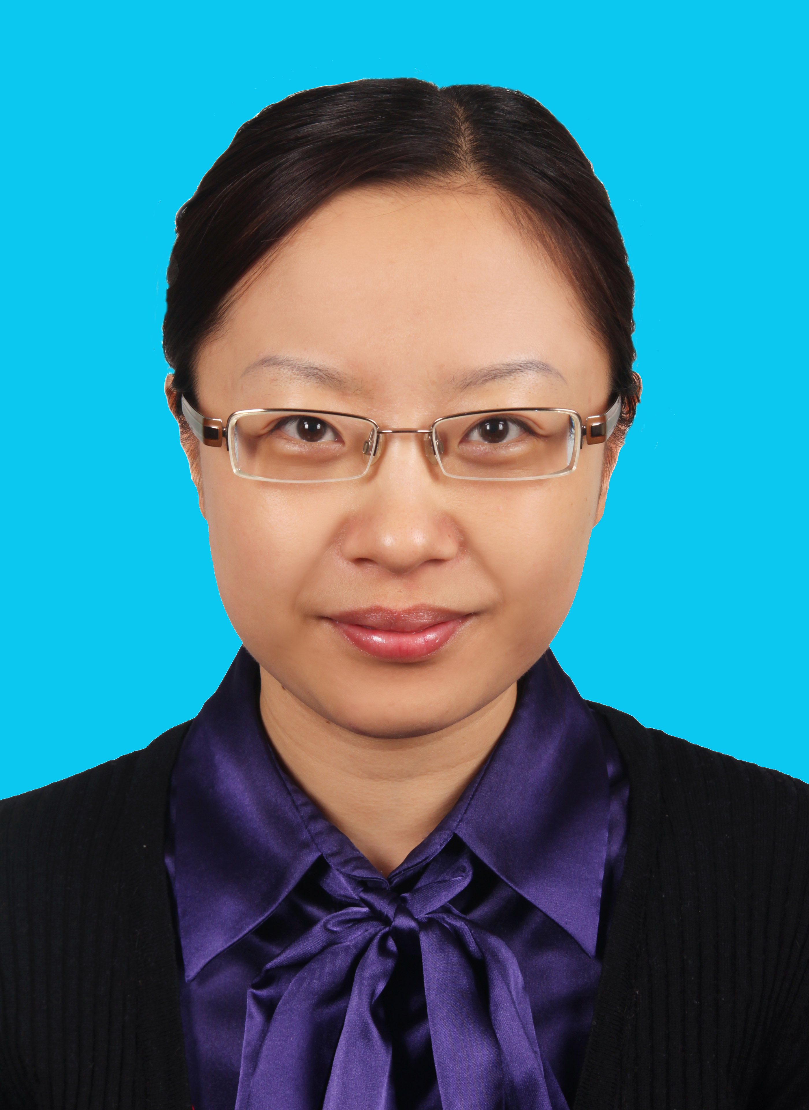 北京市朝阳区发展和改革委员会(网上办事大厅)