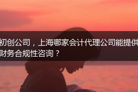 初创公司，上海哪家会计代理公司能提供财务合规性咨询？