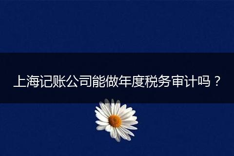 上海记账公司能做年度税务审计吗？
