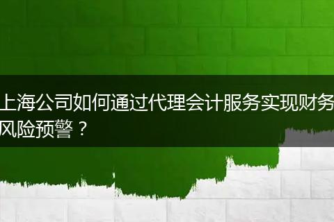 上海公司如何通过代理会计服务实现财务风险预警？