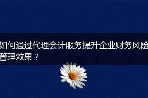 如何通过代理会计服务提升企业财务风险管理效果？