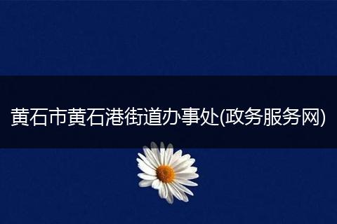 黄石市黄石港街道办事处(政务服务网)