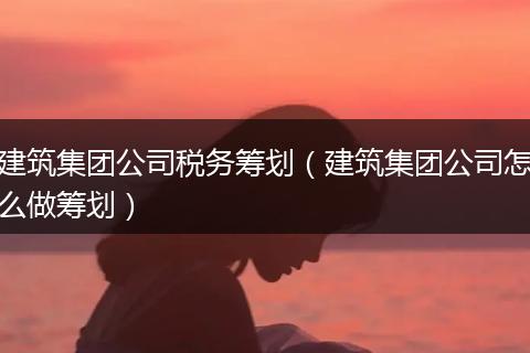 建筑集团公司税务筹划（建筑集团公司怎么做筹划）