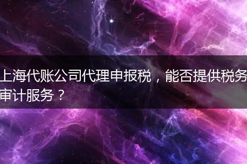 上海代账公司代理申报税，能否提供税务审计服务？