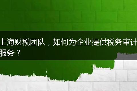 上海财税团队，如何为企业提供税务审计服务？