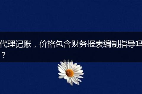 代理记账，价格包含财务报表编制指导吗？