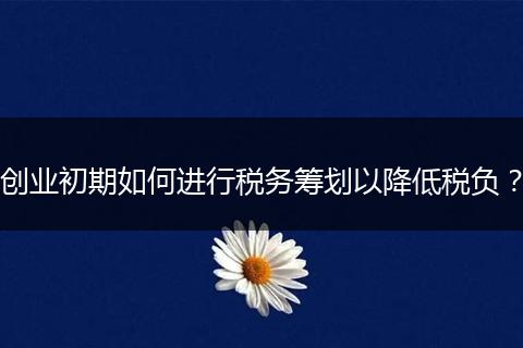 创业初期如何进行税务筹划以降低税负？