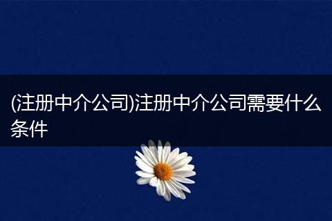 (注册中介公司)注册中介公司需要什么条件
