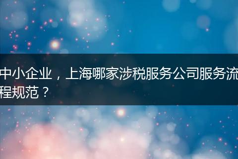 中小企业，上海哪家涉税服务公司服务流程规范？