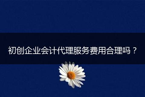 初创企业会计代理服务费用合理吗？