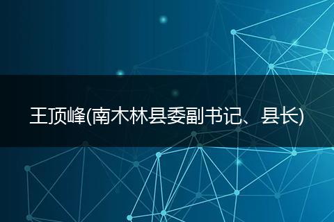 王顶峰(南木林县委副书记、县长)