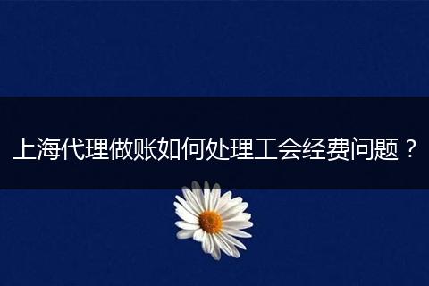 上海代理做账如何处理工会经费问题？