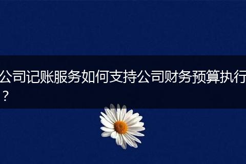 公司记账服务如何支持公司财务预算执行？