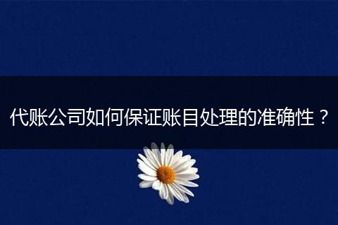 代账公司如何保证账目处理的准确性？