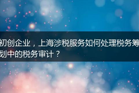初创企业，上海涉税服务如何处理税务筹划中的税务审计？