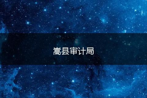 嵩县审计局