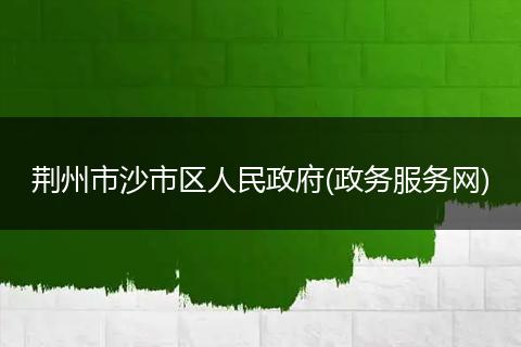 荆州市沙市区人民政府(政务服务网)