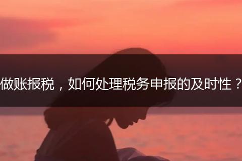 做账报税，如何处理税务申报的及时性？