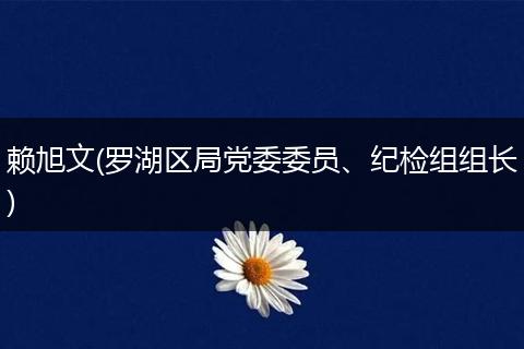赖旭文(罗湖区局党委委员、纪检组组长)