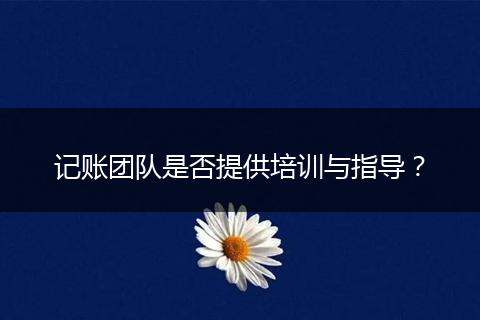 记账团队是否提供培训与指导？