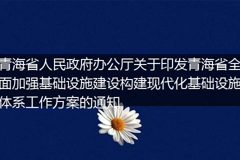 青海省人民政府办公厅关于印发青海省全面加强基础设施建设构建现代化基础设施体系工作方案的通知