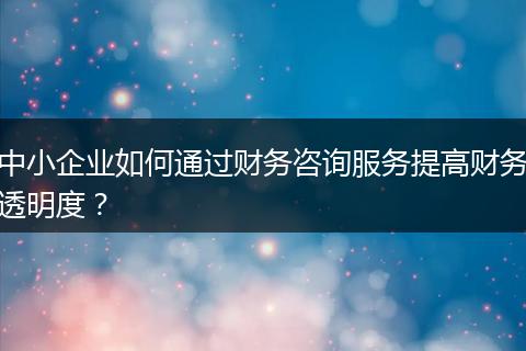 中小企业如何通过财务咨询服务提高财务透明度？