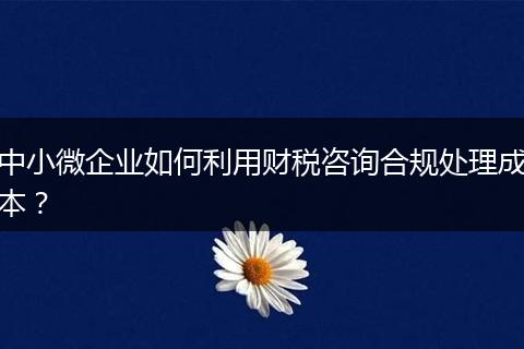 中小微企业如何利用财税咨询合规处理成本？
