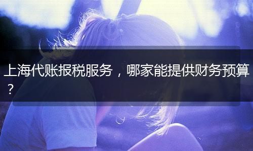 上海代账报税服务，哪家能提供财务预算？