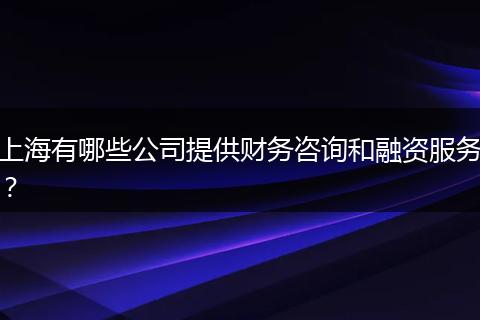 上海有哪些公司提供财务咨询和融资服务？