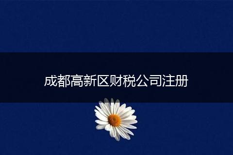 成都高新区财税公司注册