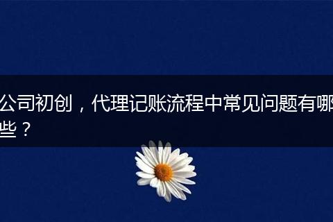 公司初创，代理记账流程中常见问题有哪些？