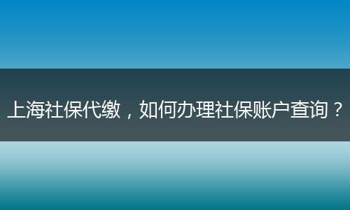 上海社保代缴，如何办理社保账户查询？