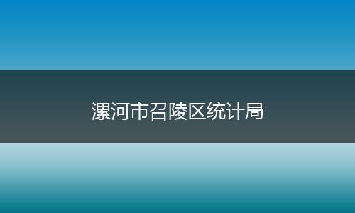 漯河市召陵区统计局