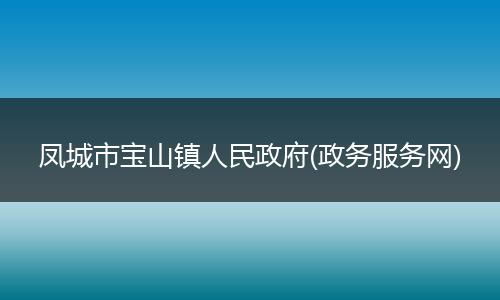 凤城市宝山镇人民政府(政务服务网)