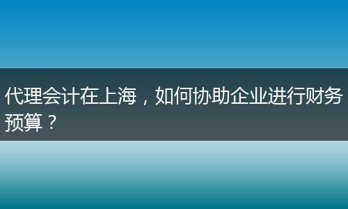 代理会计在上海，如何协助企业进行财务预算？