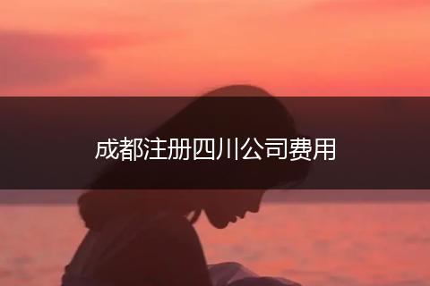 成都注册四川公司费用