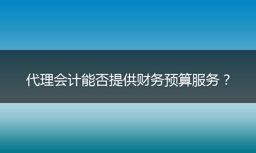代理会计能否提供财务预算服务？
