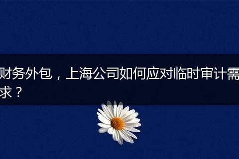 财务外包，上海公司如何应对临时审计需求？