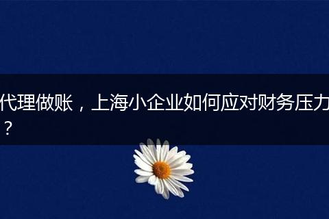 代理做账，上海小企业如何应对财务压力？