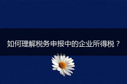 如何理解税务申报中的企业所得税？