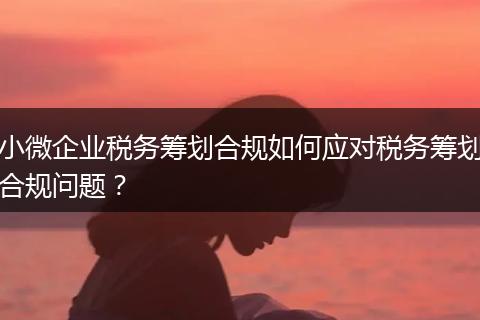 小微企业税务筹划合规如何应对税务筹划合规问题？