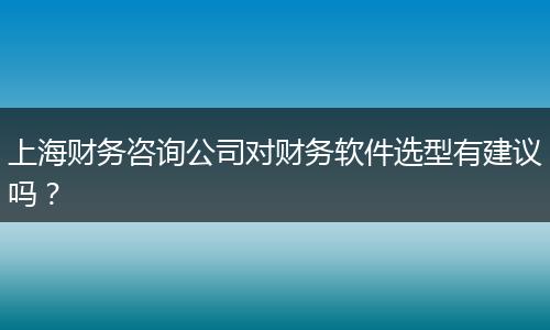 上海财务咨询公司对财务软件选型有建议吗？