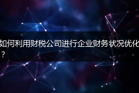 如何利用财税公司进行企业财务状况优化？