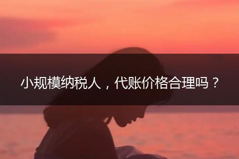 小规模纳税人，代账价格合理吗？