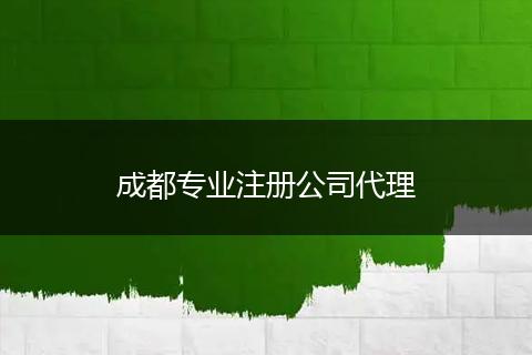 成都专业注册公司代理
