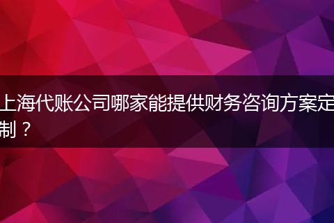 上海代账公司哪家能提供财务咨询方案定制？