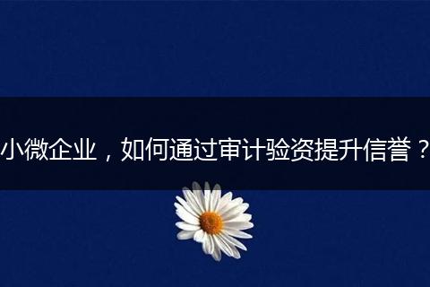 小微企业，如何通过审计验资提升信誉？
