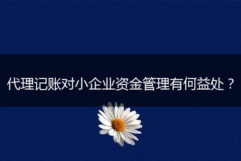 代理记账对小企业资金管理有何益处？