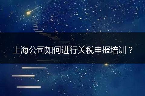 上海公司如何进行关税申报培训？