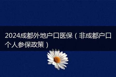2024成都外地户口医保（非成都户口个人参保政策）
